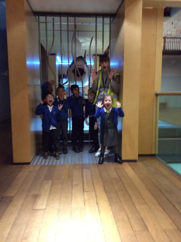 Gallery - created at 2024-02-09 11:53:37 - image 36