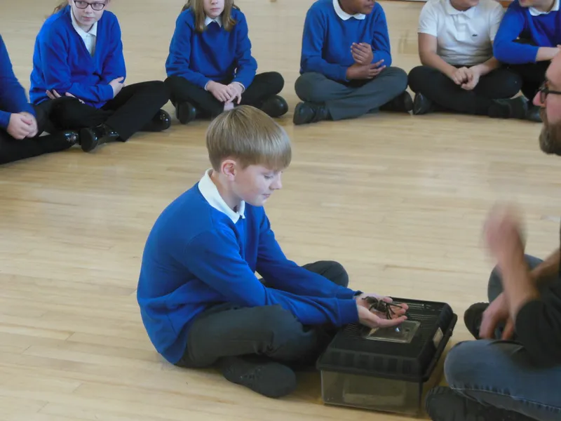 Y6 Reptile Rendezvous - image 7