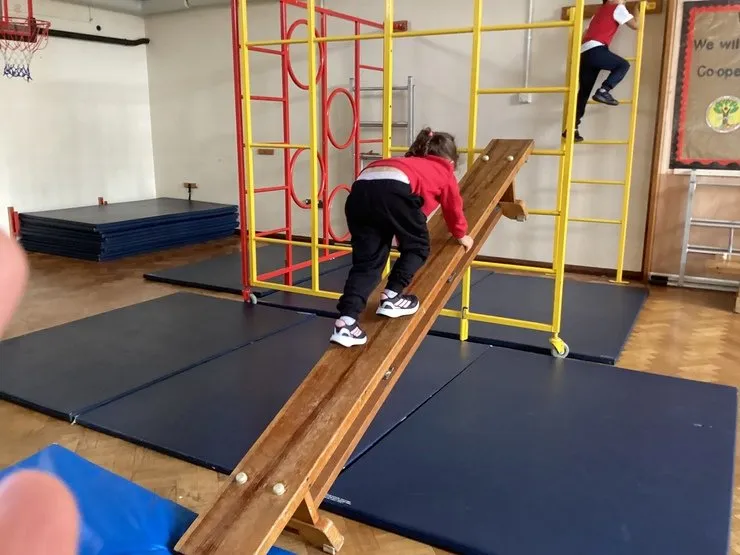 Maple Class - image 34