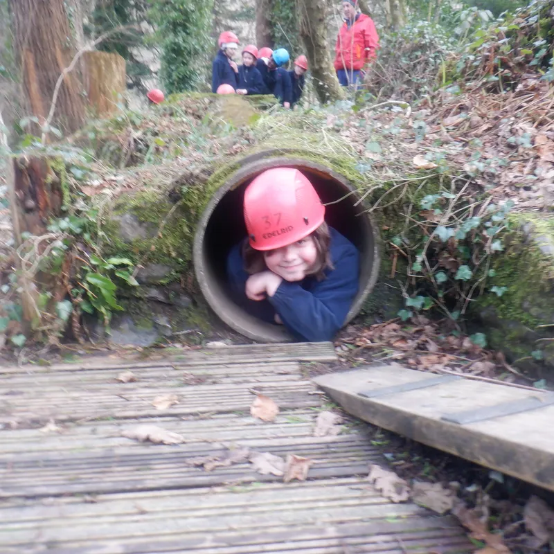 Gallery - created at 2025-02-27 19:57:56 - image 14