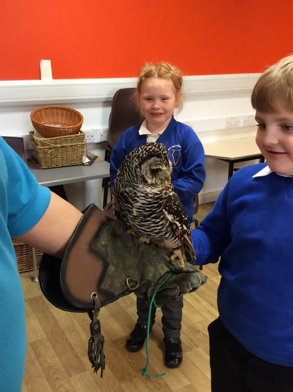 Gallery - created at 2024-02-26 17:15:57 - image 14 Gallery - created at 2024-02-26 17:15:57 - image 14