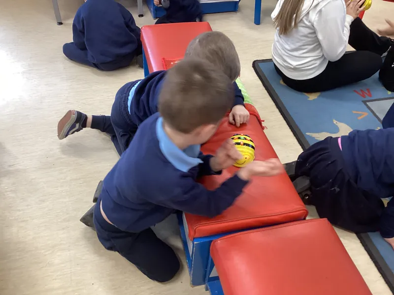 P1 Beebot coding  - image 2