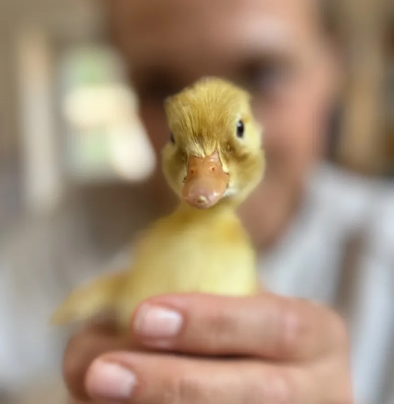 Gallery - created at 2025-06-16 18:31:47 - image 6