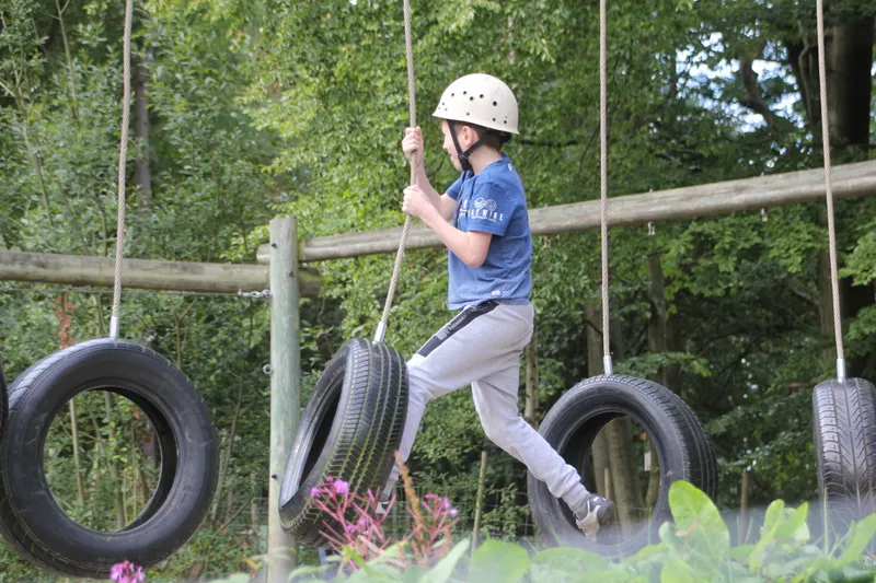 Gallery - created at 2018-10-23 12:06:09 - image 4