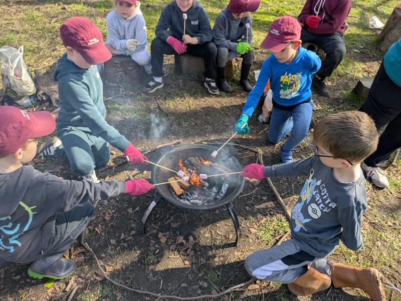 Gallery - created at 2025-03-20 15:36:53 - image 16