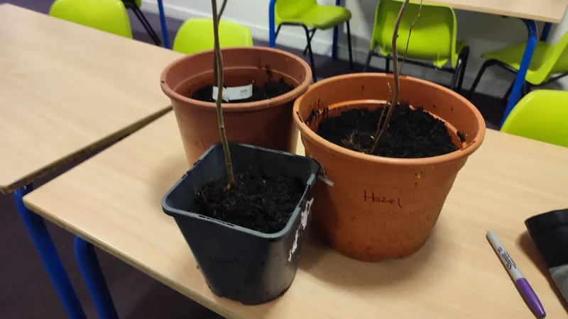 Ecowarriors - image 13 Ecowarriors - image 13