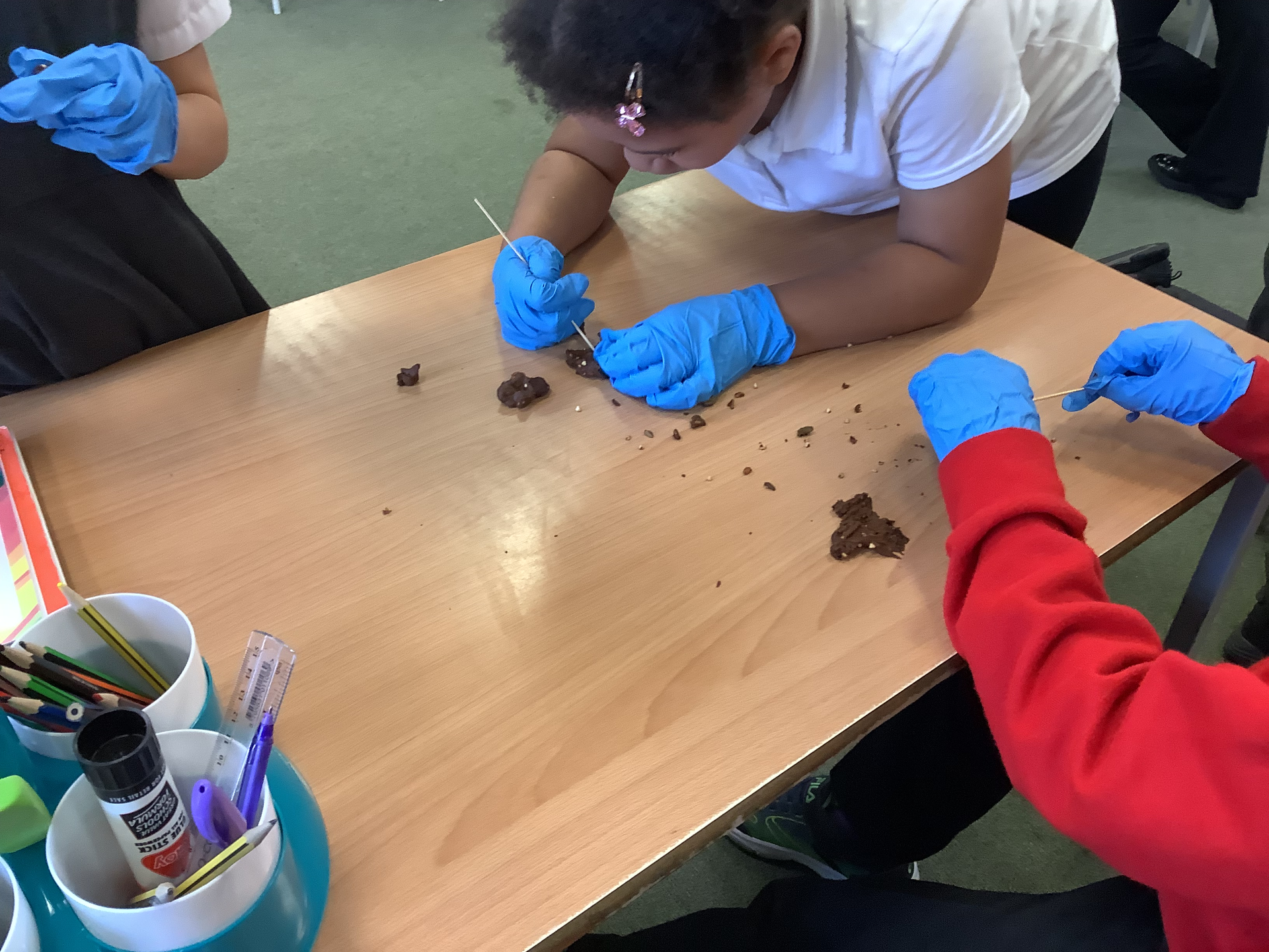 Investigating Stone Age diets - Hunters and Gatherers