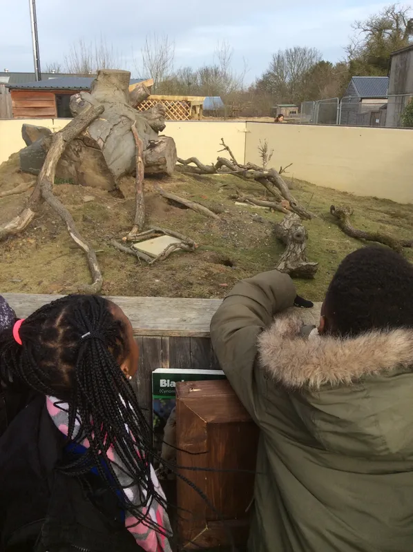 Gallery - created at 2024-02-29 15:51:05 - image 2 Gallery - created at 2024-02-29 15:51:05 - image 2