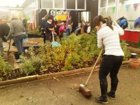 Gallery - created at 2018-01-17 17:01:37 - image 14