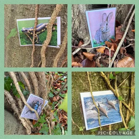 Forest School 25 - image 3 Forest School 25 - image 3