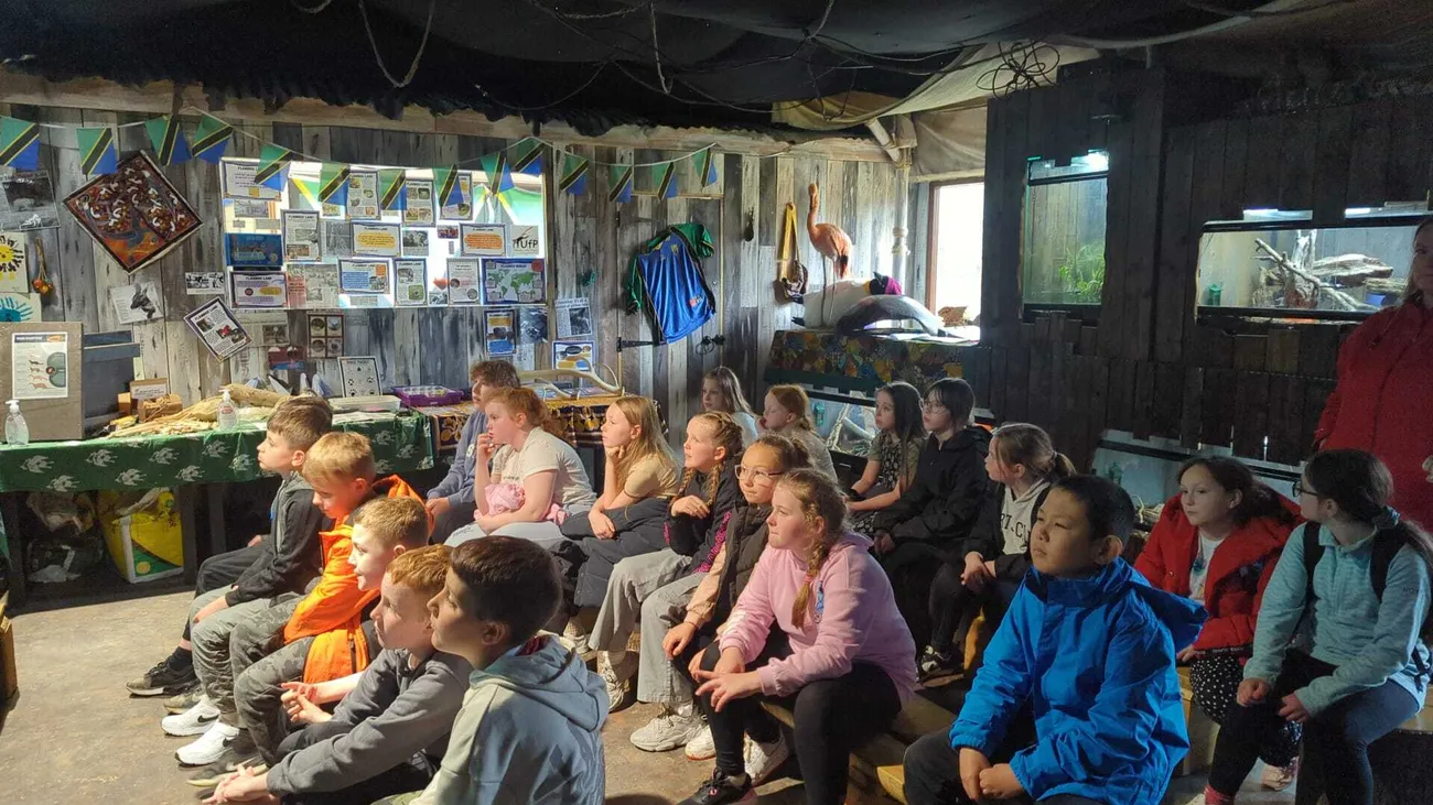 Gallery - created at 2024-06-06 15:03:55 - image 98