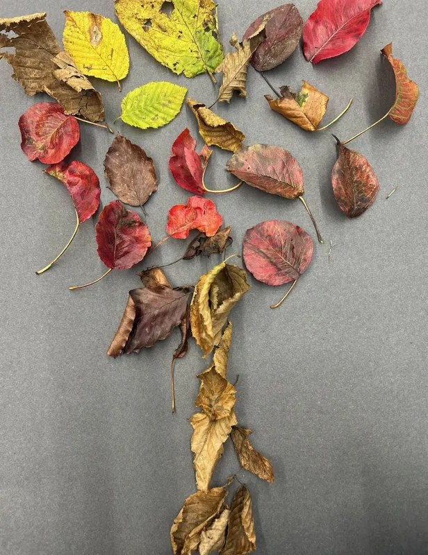 Gallery - created at 2024-11-15 12:36:22 - image 6