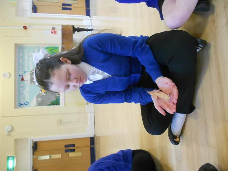 Y6 Reptile Rendezvous - image 30