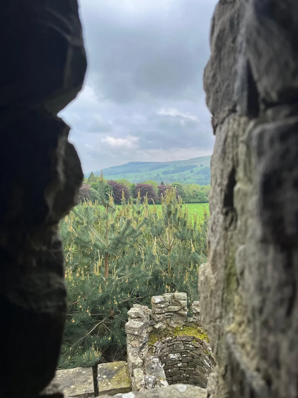 Gallery - created at 2024-06-06 15:19:10 - image 5