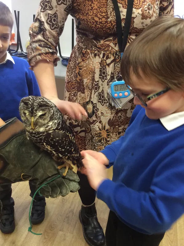 Gallery - created at 2024-02-26 17:15:57 - image 29 Gallery - created at 2024-02-26 17:15:57 - image 29