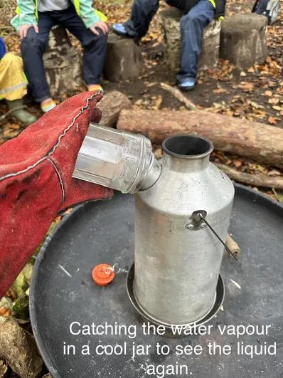 Autumn 2023 - 22nd November - Saplings - Matter - image 1 Autumn 2023 - 22nd November - Saplings - Matter - image 1