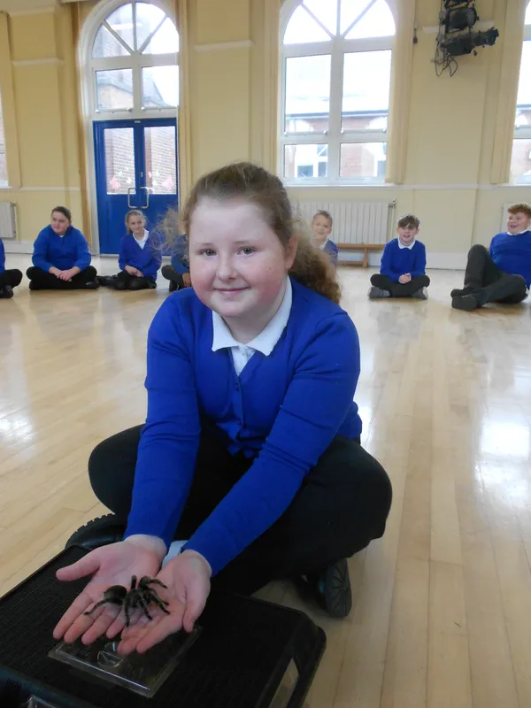 Y6 Reptile Rendezvous - image 84