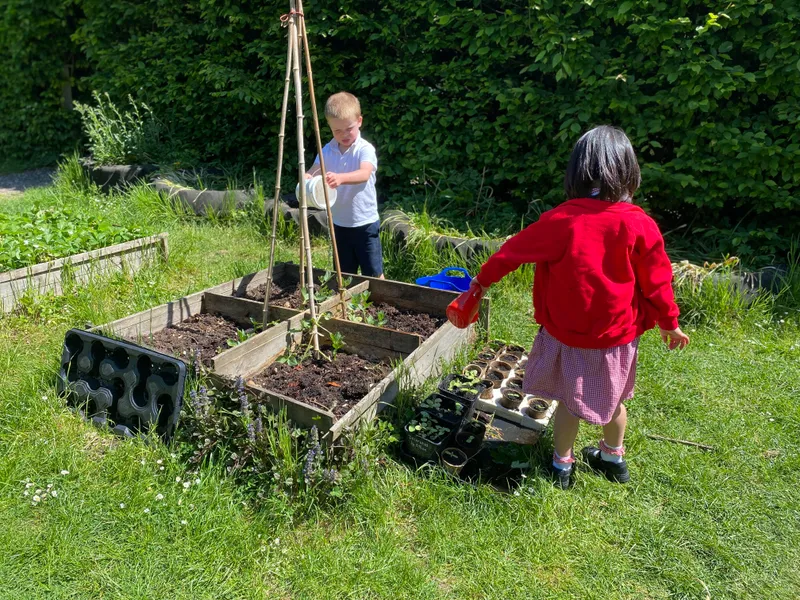 Gallery - created at 2025-05-17 14:55:55 - image 2