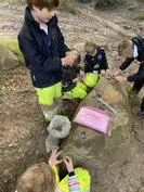 Forest School 121 - image 3 Forest School 121 - image 3