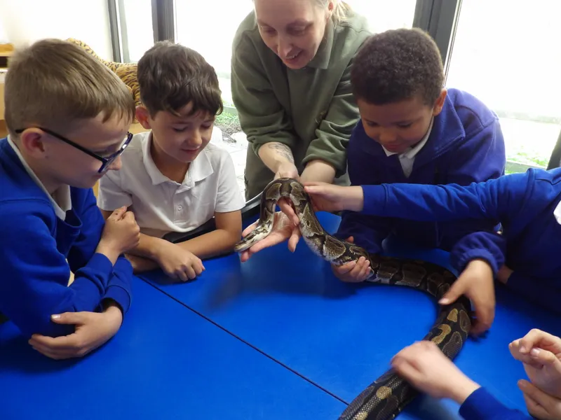 Y3 Yorkshire Wildlife Park Trip - image 51