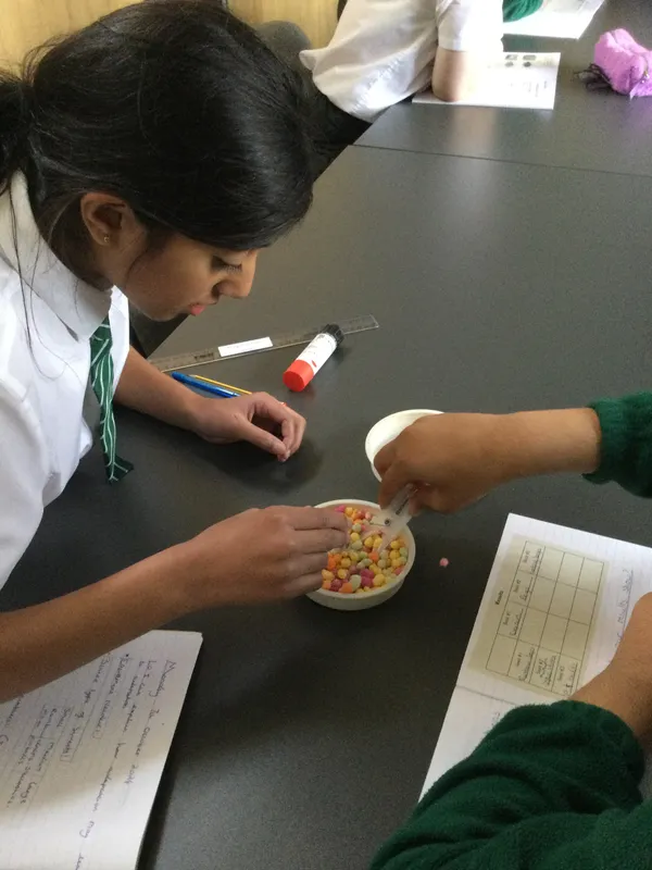 Chestnut 2024 - Darwin adaptation experiment - image 11