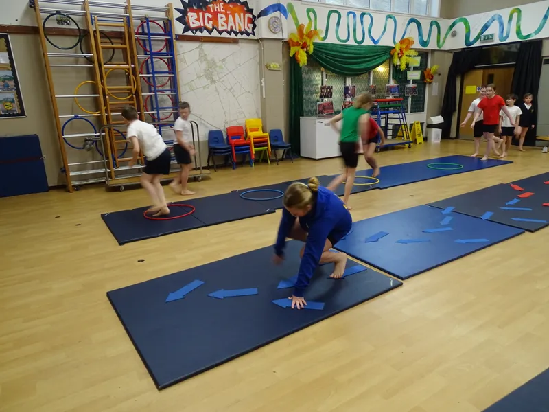 Ospreys Gymnastics Skills - image 17 Ospreys Gymnastics Skills - image 17