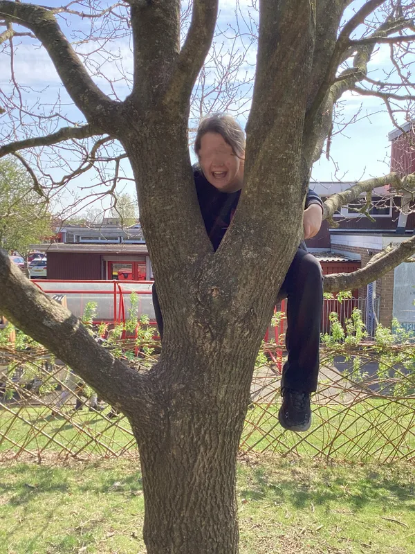 Tree Climbing - image 2