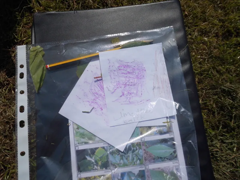Gallery - created at 2019-05-22 16:39:03 - image 1
