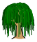 Willow class