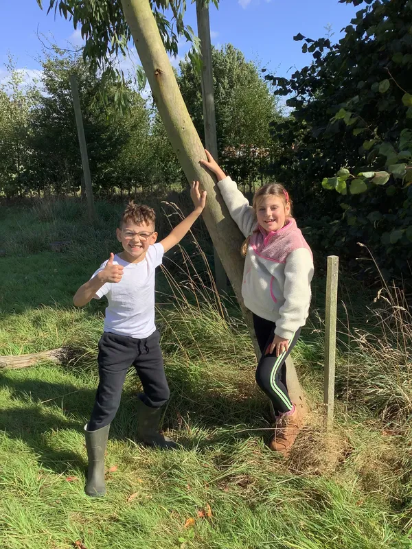 Swallows enjoying their first Forest School session - image 7 Swallows enjoying their first Forest School session - image 7