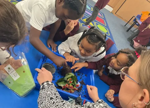 Year 1 Autumn 1 blog  - image 5 Year 1 Autumn 1 blog  - image 5