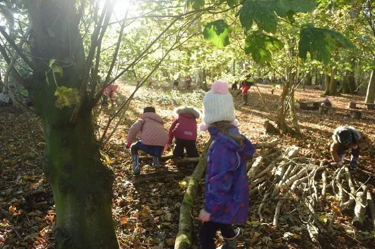 Gallery 4 - image 21