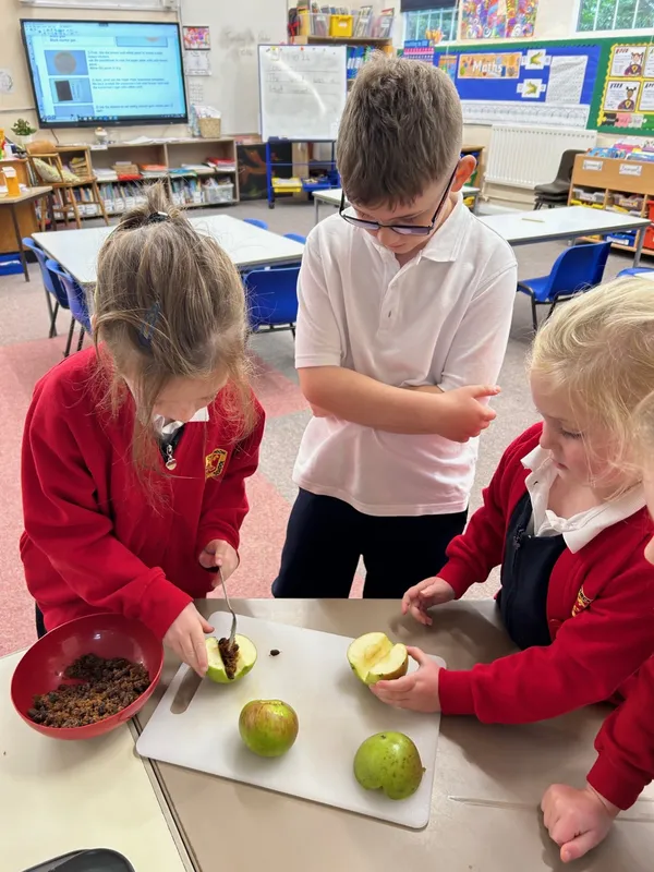 Gallery - created at 2024-10-04 13:58:25 - image 1