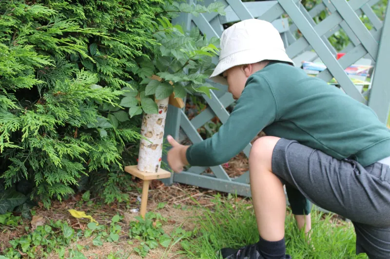 Reception - Photo Gallery - image 4 Reception - Photo Gallery - image 4