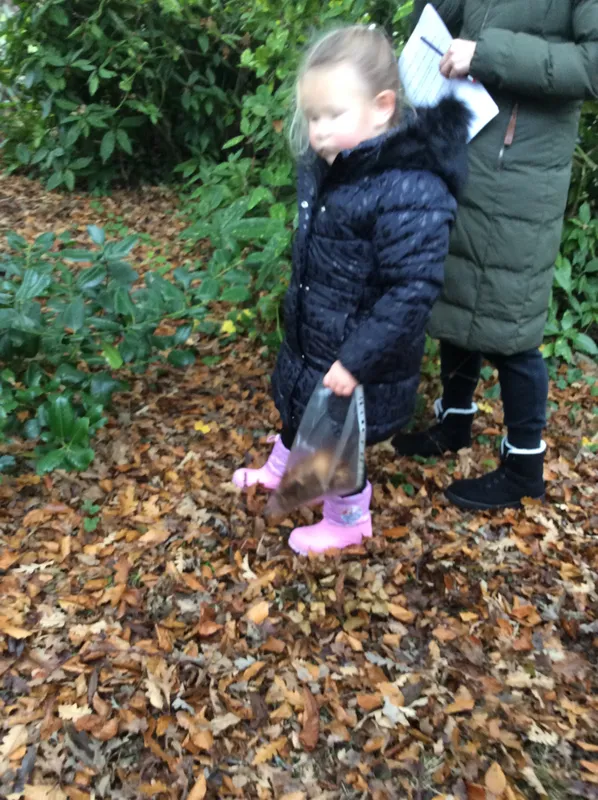 Gallery - created at 2024-11-05 15:27:50 - image 61 Gallery - created at 2024-11-05 15:27:50 - image 61