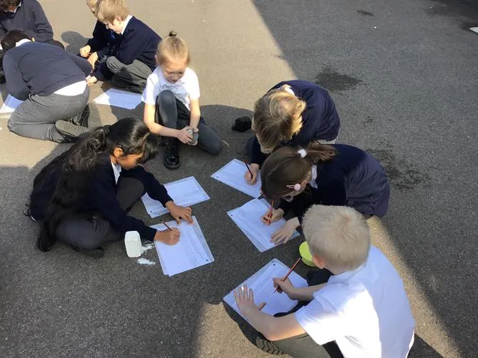 Year 3LB 13.03.2026 - image 1