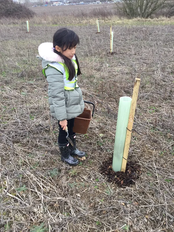 See our work in progress in this gallery! - image 40