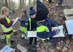 Forest School 50 - image 2 Forest School 50 - image 2