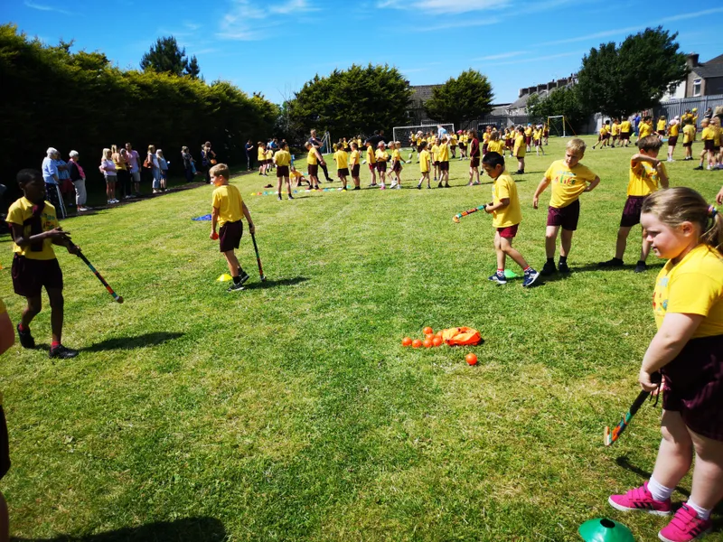 Gallery - created at 2024-02-05 14:49:09 - image 8 Gallery - created at 2024-02-05 14:49:09 - image 8