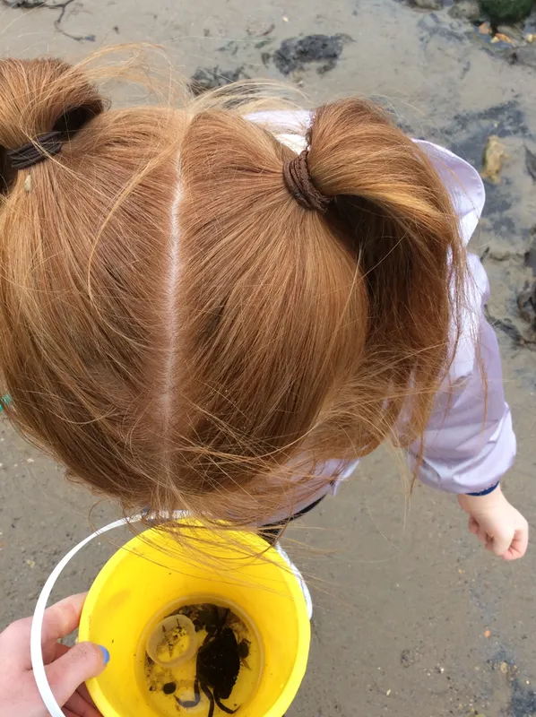 Gallery - created at 2024-05-23 10:29:28 - image 14