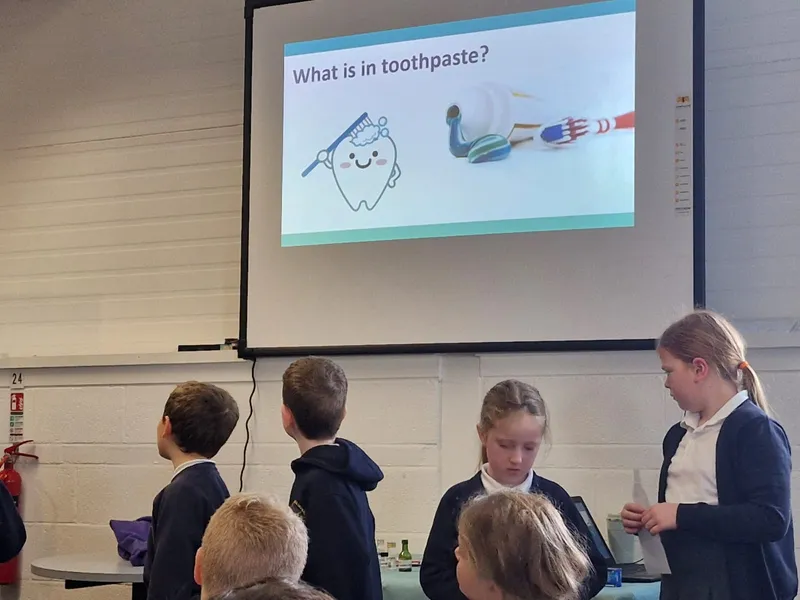 Rigby Catalyst Trip 05.11.25 - image 19