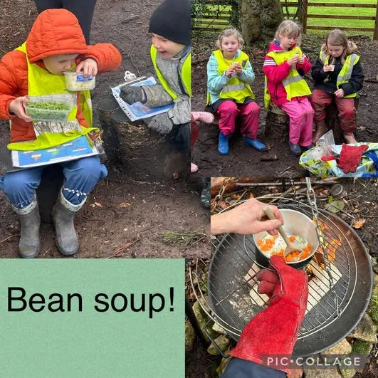 Spring 2024 - 21st February - Acorns - Beanstalk Soup; Growing Beans in a Bag: Searching for Continents - image 1 Spring 2024 - 21st February - Acorns - Beanstalk Soup; Growing Beans in a Bag: Searching for Continents - image 1