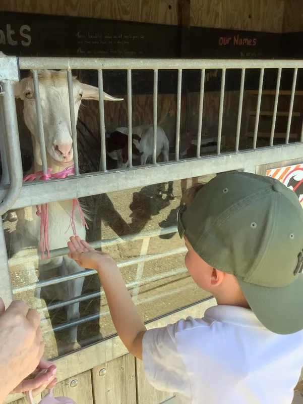 Science at Watton at Stone  - image 7