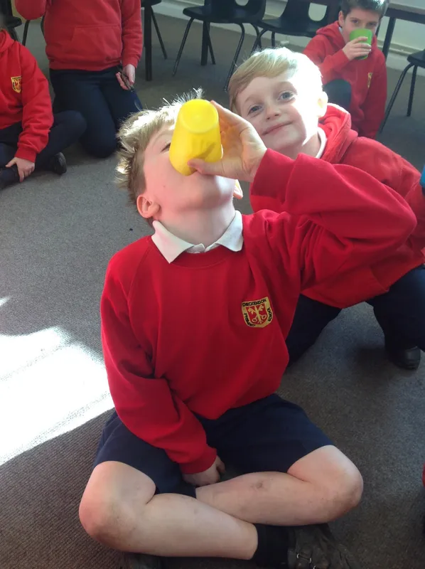 Gallery - created at 2024-03-01 19:31:38 - image 6 Gallery - created at 2024-03-01 19:31:38 - image 6