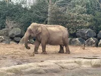 Chester Zoo Trip 2026 - image 2