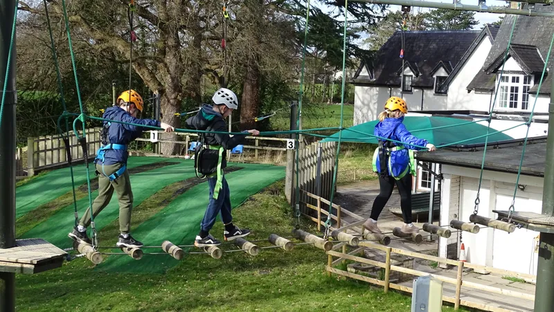 Spring Group - image 6