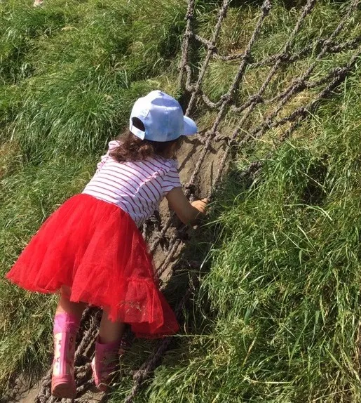 Forest School - image 8