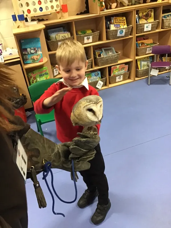 birds of prey year 1 25 - image 5 birds of prey year 1 25 - image 5