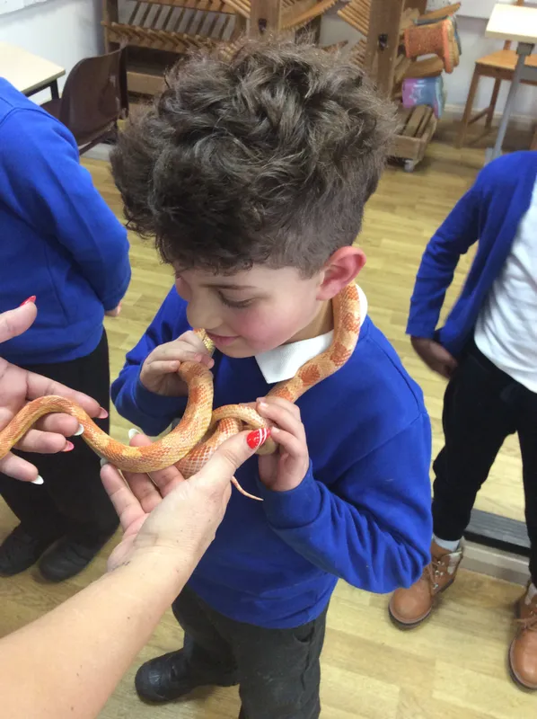 Gallery - created at 2024-03-05 13:52:56 - image 5 Gallery - created at 2024-03-05 13:52:56 - image 5