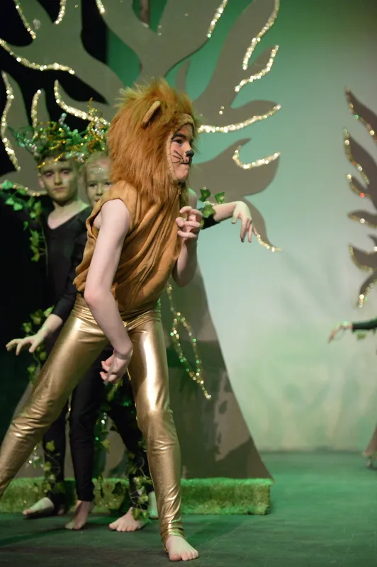 Gallery - created at 2019-03-21 11:52:23 - image 80